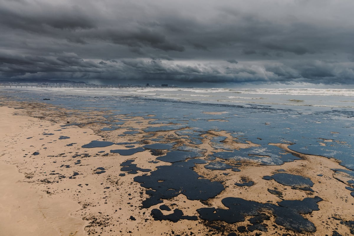 Coastal shoreline and water